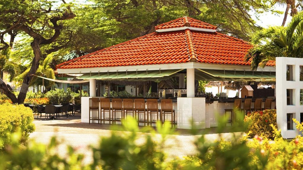 The Westin Aruba Resort (Adults Only) Palm Beach Bagian luar foto